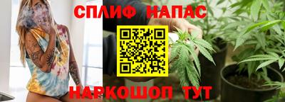гашик Бузулук