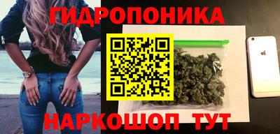 гашик Бузулук