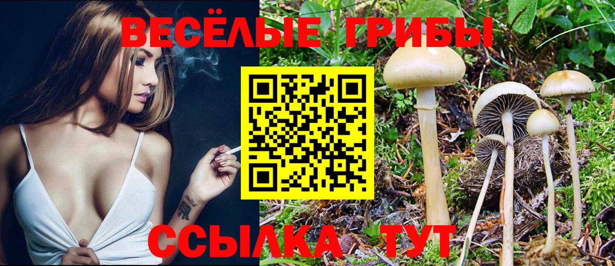 Псилоцибиновые грибы мицелий  купить наркоту  Унеча  Вход с VPN  Псилоцибиновые грибы Magic Shrooms 
